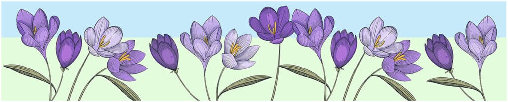 Graphic of crocuses on a green and blue background to celebrate NHHD.